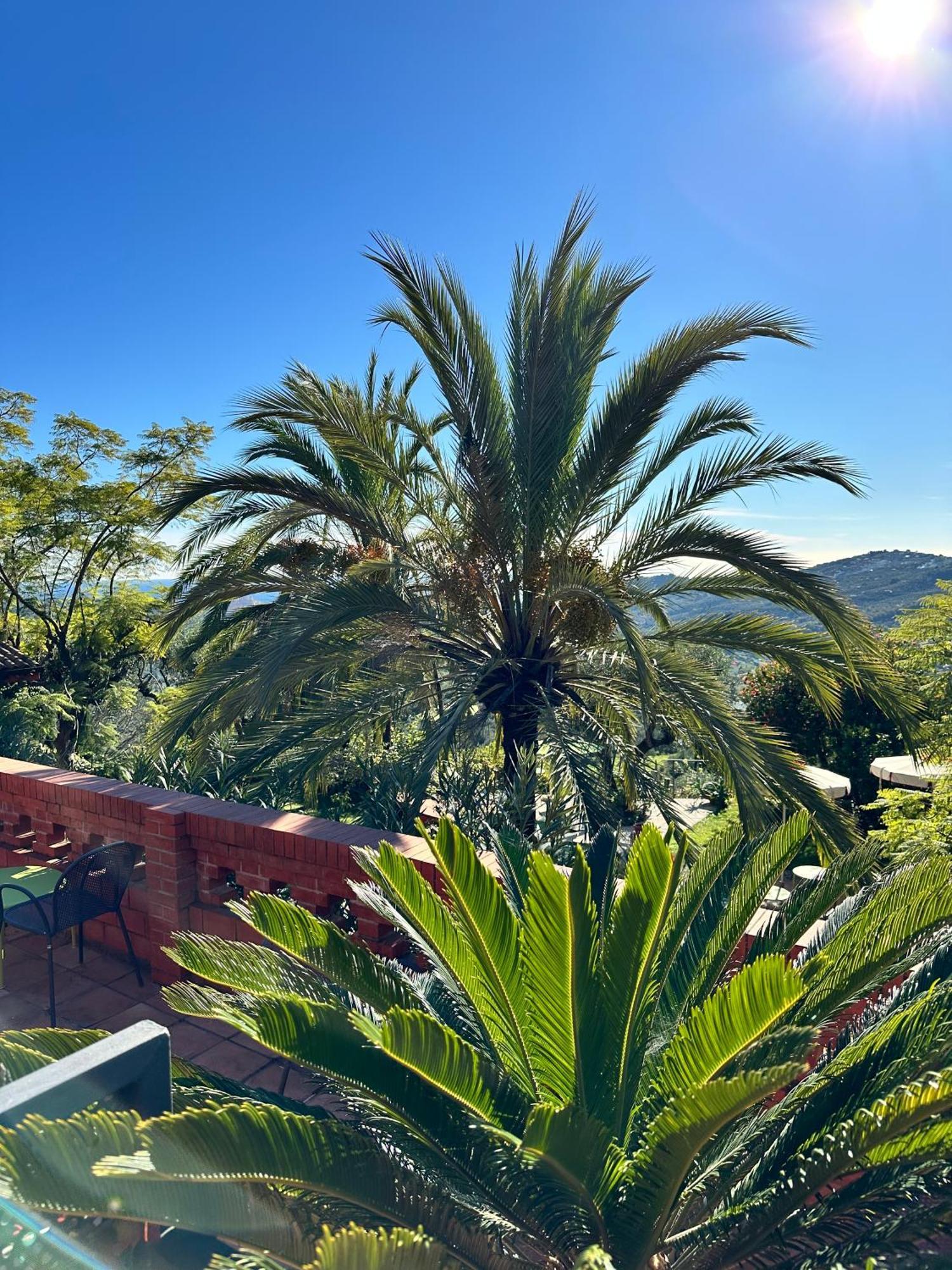 Relais San Damian Apartahotel Imperia